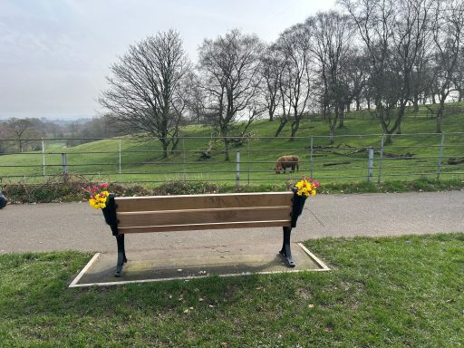 Bench from rear with flowers 20/03/26